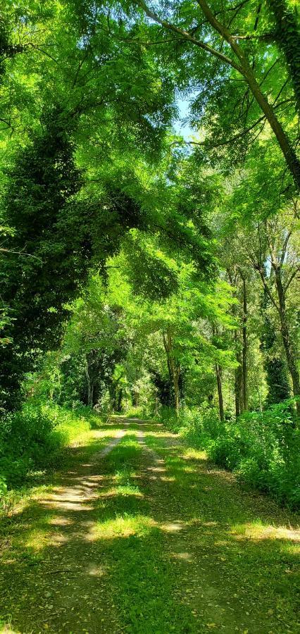 Agriturismo La Lenticchia Фратта-Терме Екстер'єр фото