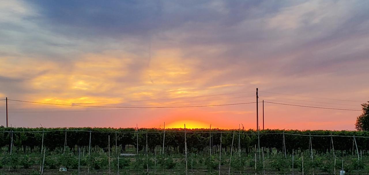 Agriturismo La Lenticchia Фратта-Терме Екстер'єр фото